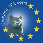 link zur Interessenseite Chartreux Europe