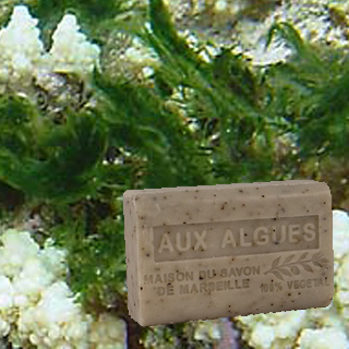 Algen Seife Marseille