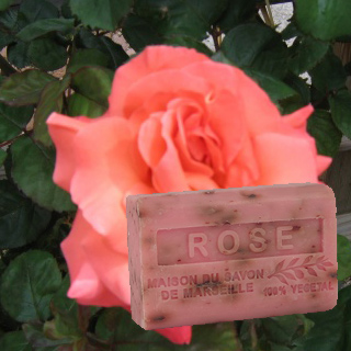 Rosenblueten Seife Marseille
